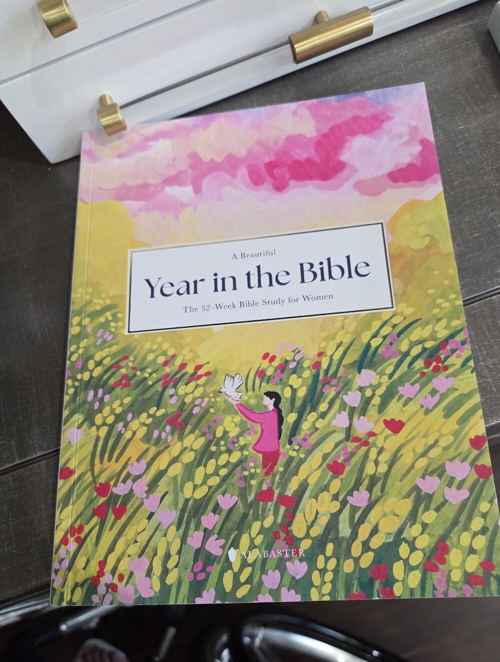Year in the Bible - Floral Illustrated Paperback